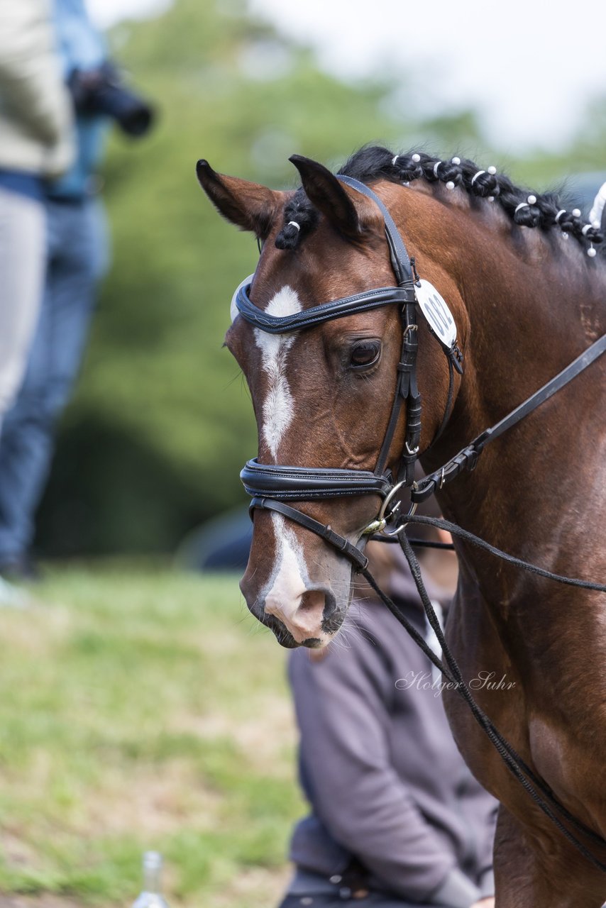 Bild 250 - Pony Akademie Turnier